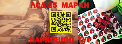 Альфа ПВП Гатчина