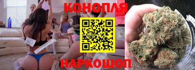 Альфа ПВП Гатчина
