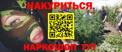 Альфа ПВП Гатчина
