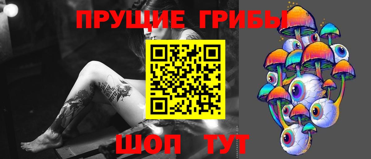 Валуйки  Галлюциногенные грибы Cubensis  где купить наркоту  Вход с VPN 